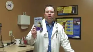 Cat Care: Fleas & Parasites : Side Effects of Advantage for Cats