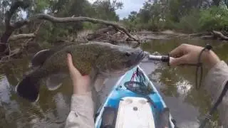 Murray Cod Opening 2016 - Cudgegong River Mudgee