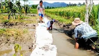 nyeser ikan menggunakan waring,@pran fishing 1
