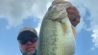 Summer deep cranking carnage! Cedar Creek Lake Bass Fishing June 27th