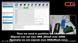 CGpro~Read and write BMW FRM XEQ384 mask 3M25J