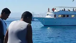 Boat Adventure 🐠🌊#Hurghada #GlassBoatTrip#RedSea #UnderwaterWonders #MarineLife#CoralReefs Feb'19