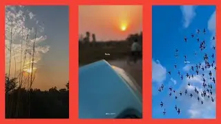 Dur Tu Hai Ya Hum Ho Gaye Status - (Lofi Remix ) | Aesthetic Status