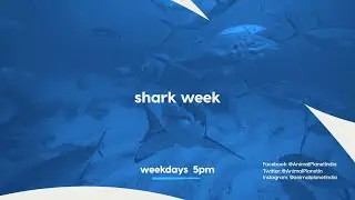 Shark Week | Promo | Weekdays 5 PM