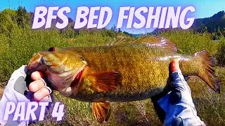 BFS Bed Fishing with Dobyns Sierra Ultra Finesse Casting Rod. Umpqua Series part 4 of 4     4-22-21