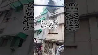 快來看看巨大吊籃台北吊車找禾逸新北吊車找禾逸螃蟹吊車找禾逸率鴿洨包來服務專業安全有品質效率高口碑路線#吊掛作業#高空作業#吊籃作業#台北吊車#新北吊車#螃蟹吊車