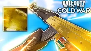 the GOLD AK-47... (ROAD TO DARK MATTER) Black Ops: COLD WAR