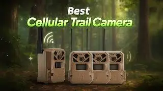 2026&rsquo;s Best Cellular Trail Cameras &ndash; Real-Time Alerts & Crystal Clear Shots!