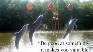 Inspirational Pictures and Quotes