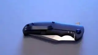 Kizer Intrepid Ray Laconico Review