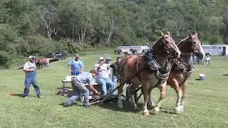 Alma Horse Pull