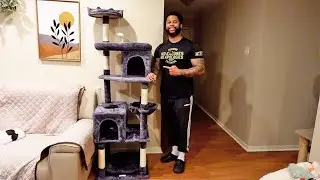 Look No Further If You Need A Cat Tree! | Globlazer Cat Tree Review