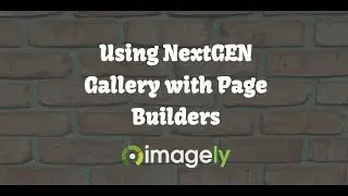 Using NextGEN Gallery with Page Builders