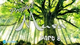 The Story of the Prophet Musa Part 8 (AS) by Sheikh Shady Alsuleiman