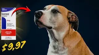 IVERMECTINA O REMÉDIO MAIS BARATO PARA ELIMINAR VERMES E CARRAPATOS DOS CÃES