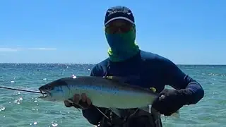Nibor One Sting fly fishing lures concept designed for fly fishing after coastal sea trouts (part 2)