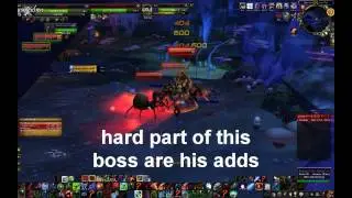 Death Knight solo: HEROIC Azjol Nerub