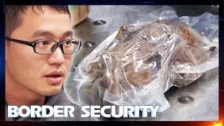 Student Caught At Customs With A Duck 🦆 Border Security