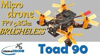 FuriBee / Happymodel Toad 90 - An&aacute;lise e Teste de Voo | colunaDRONE