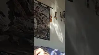 Live For Today cover by the Grass Roots(I dont own the rights to this music.)