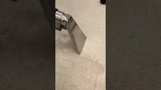 SOFA CLEANING