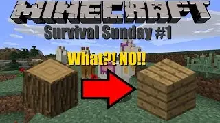 Minecraft Survival Sunday #1 | I Can't Believe I Did That!