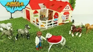 HORSE FARM HOSPITAL! 