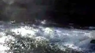 Royal National Park Sydney  - Audley Fishway