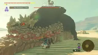 Zelda ToTK Part 58 Quest to get Scimitar of the Seven Sword & Daybreaker Shield
