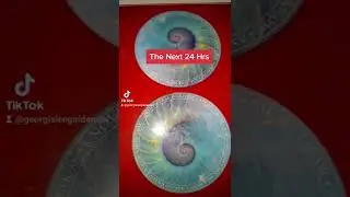 The Next 24 Hrs Oracle Reading #shorts #tarot