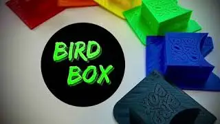 I N T R O D U C I N G  T H E  B I R D  B O X ! !