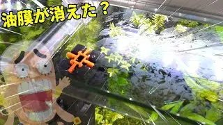 【アクアリウム】油膜専用フィルター凄すぎん？