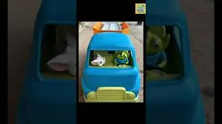 Moana meets CoComelon | JJ & Maui to Rescue | Missing Cars |  