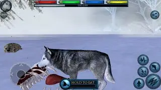 Ultimate Arctic Simulator (by Gluten Free Games) - Part 9 - Android Gameplay [HD]