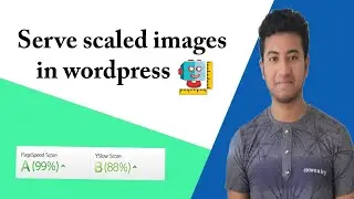 Serve Scaled Images In Wordpress | Short Pixel | Image Optimize | NDevs