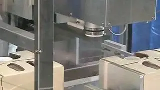 Single Head Capper by www.neminc.com