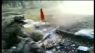 Menschenrechte / Grundrechte in Deutschland 2008