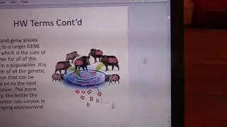 Bio 30 - Population and Community Ecosystems Dynamics - Lecture #1 Part A - Hardy-Weinberg