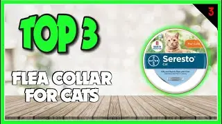 Best Flea Collar For Cats In 2023