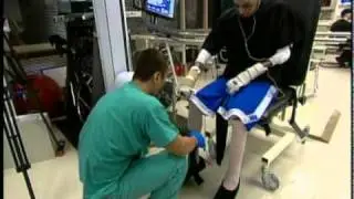 Organ Regeneration
