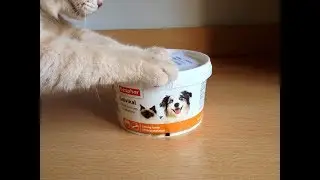 Минеральная смесь для котов и собак BEAPHAR SALVIKAL