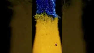 Blue and yellow markers meet 