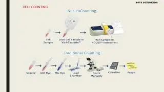 ANIMAL CELL CULTURE - PART 2 : PRIMARY CELL CULTURE