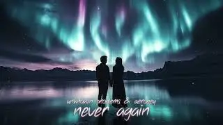 Unknown Problems & Aerobey - Never Again