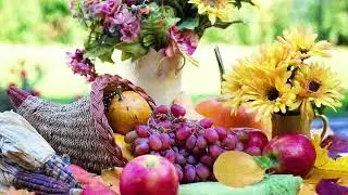 Cornucopia Fruit Flowers Ambience Background Wallpaper | Seasonal Ambience | Relaxing Jazz Cafe 🧺🍇