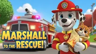 Marshall&rsquo;s Brave Fire Rescue 🚒 | Paw Patrol Fun Story for Kids