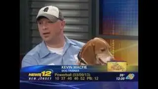 Roscoe the Bed Bug Dog & Bell Environmental on News 12 - NJ on March 14, 2013
