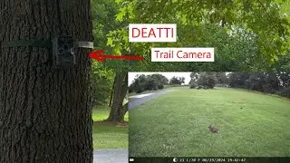 DEATTI 48MP Trail Camera с ночным видением и SD-картой #trailcam #trailcamera #hunting