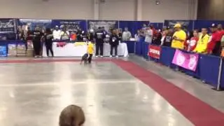 Okc American Bully Show 2013 Jr Handler