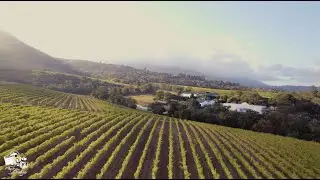Groot Constantia Capetown
